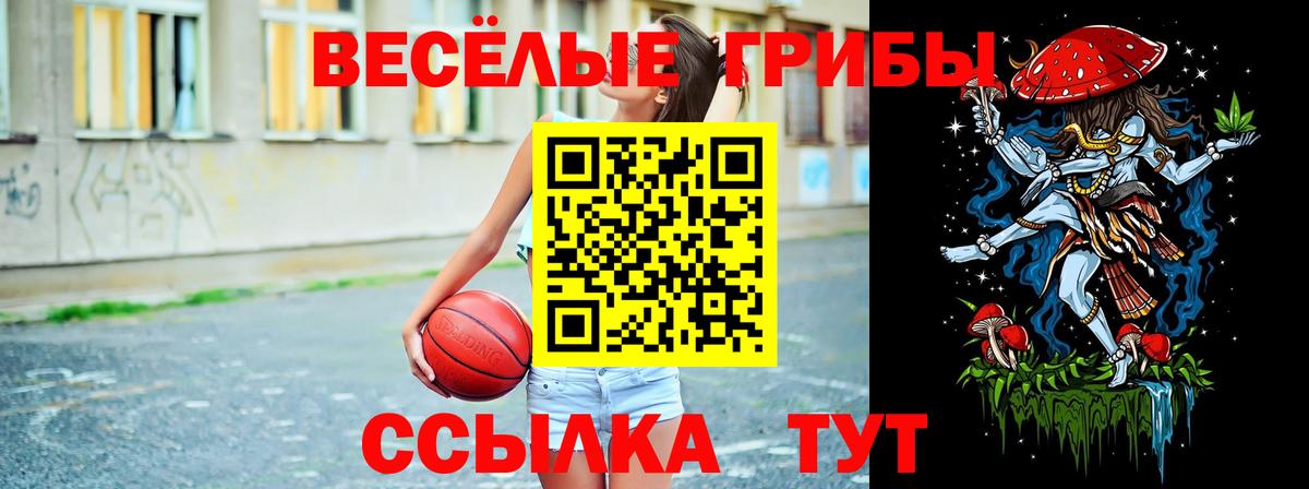 Псилоцибиновые грибы Cubensis Михайловск